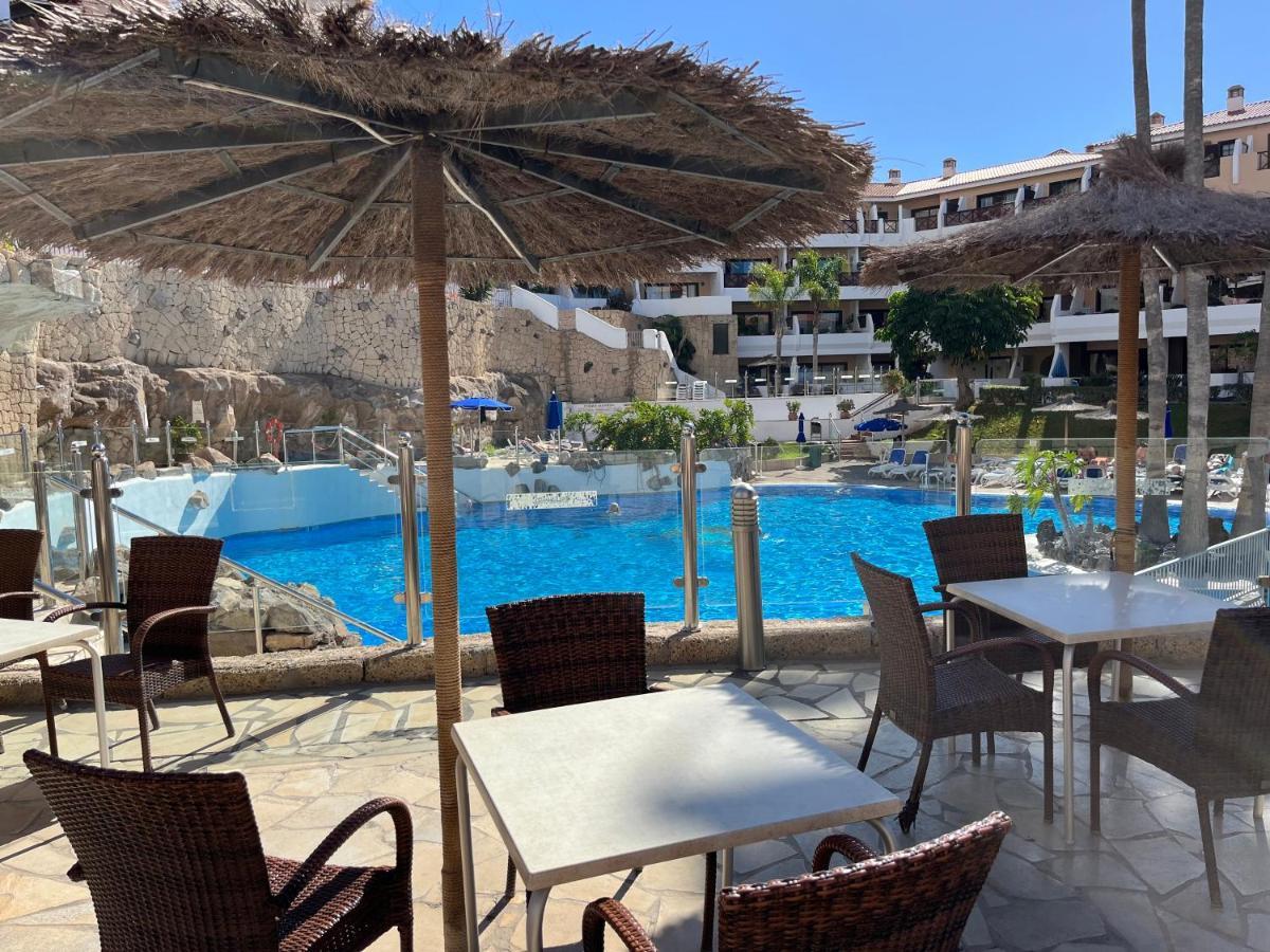 Sunny 201 Albatros Golf Del Sur Apartman San Miguel de Abona Kültér fotó